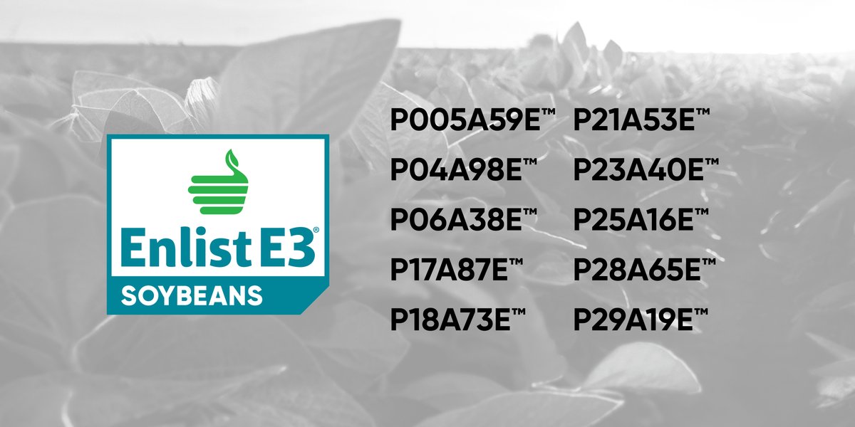 Pioneer Seeds Canada tweet media