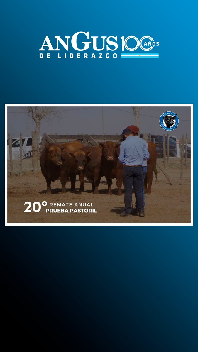 Angus Argentina tweet media