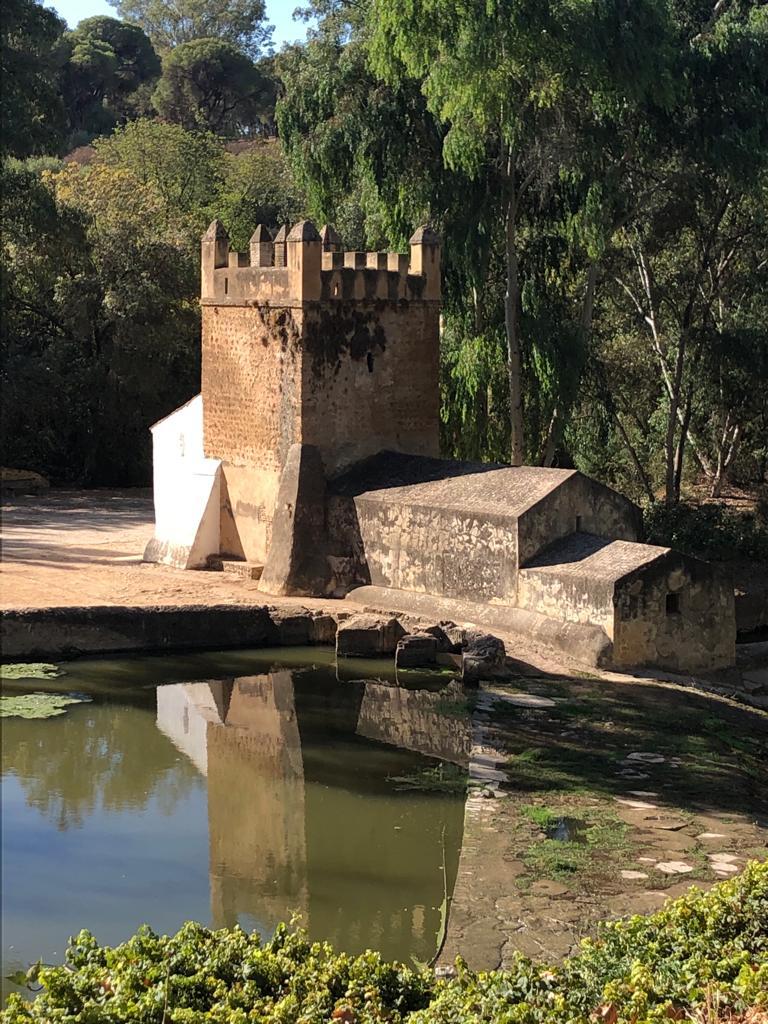 aytoguadaira's tweet photo. El valor patrimonial de la naturaleza: Monumento Natural Riberas del Guadaíra #alcaládeguadaíra Senderos, miradores, molinos, bosques, manantiales… espacios únicos @aytoguadaira inversión 1mill€ en 2022
Descúbrelo y disfruta de nuestros parajes
https://t.co/Hxep7bLBQz https://t.co/iNTTNt4zeu