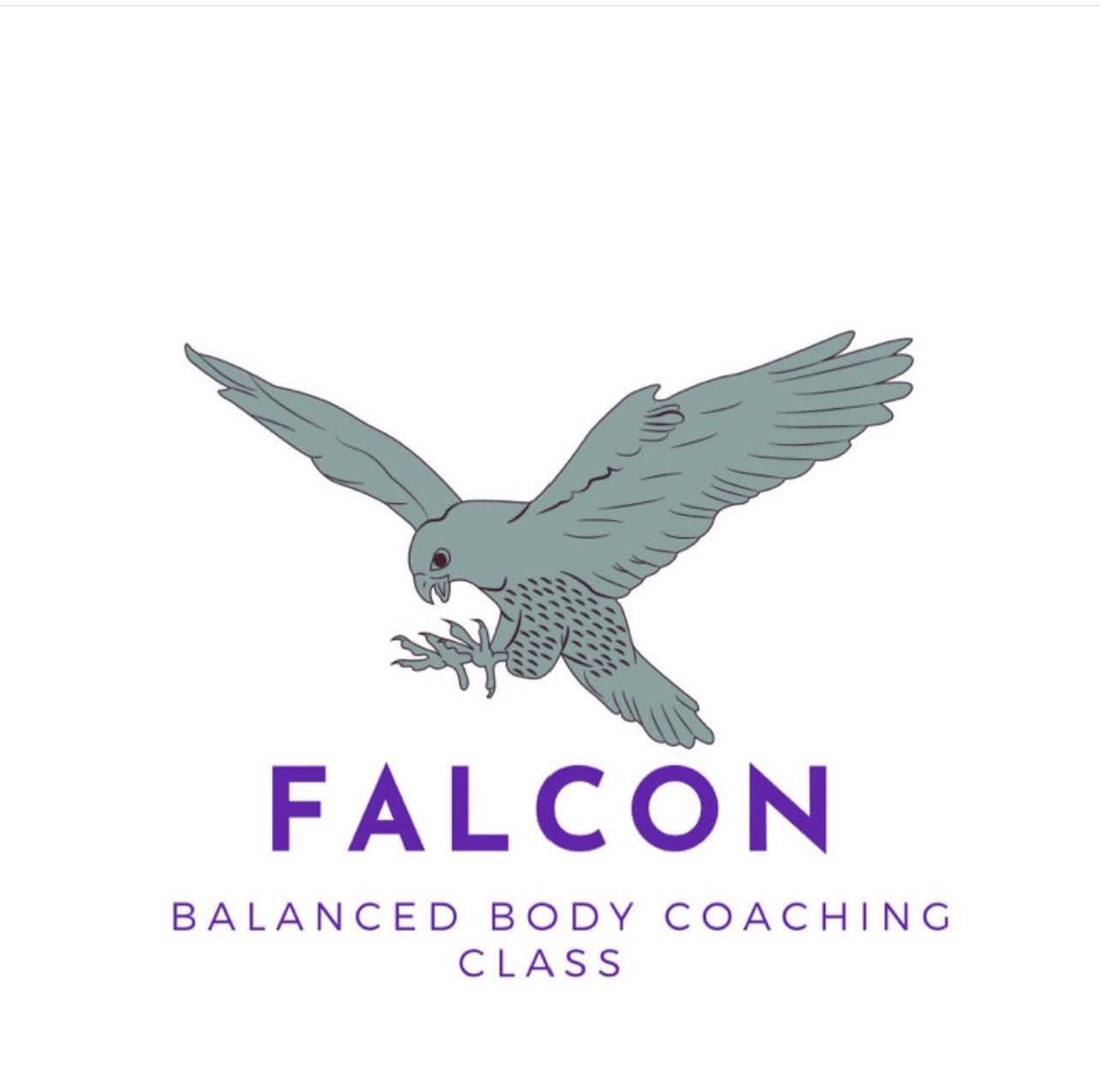 1Princess_HJO's tweet photo. Bird of #Dubai .. Class is back in Session and will be Supervised and #Certified, you also will have a #NDA and #LiabilityWaiver form and #Test so be prepared! Available Now BrandNew FALCON BALANCED BODY COACHING CLASS for all ...START #TEACHING OUR #CHILDREN NOW ABOUT DISEASES. https://t.co/oFjVc2olNI
