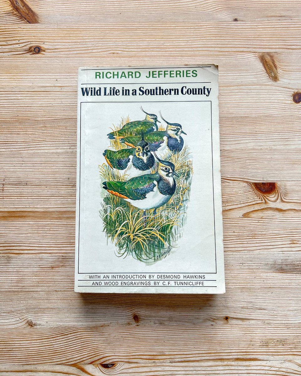 A heap of gratitude to @RJefferiesSoc who have kindly donated Wild Life in a Southern County and Richard Jefferies: An Anthology to The Nature Library. Did not take long to scribble down some treasure: “Such is the beauty of sunlight that it can impart a glory even to dust.”