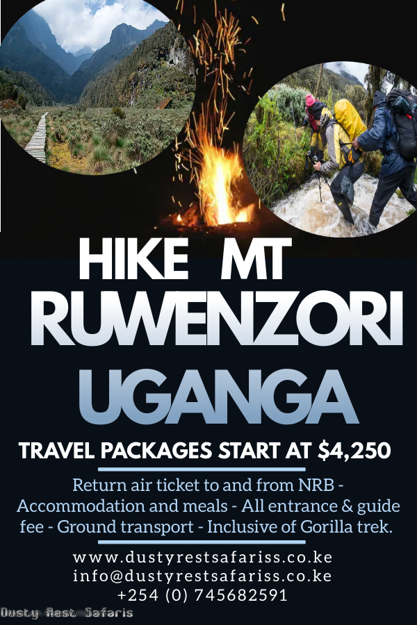 DustyRest's tweet photo. Trekking the mystic Rwenzori Mt. Nat Park in UG is truly fantastic &amp; unique experience
info@dustyrestsafariss.co.ke
https://t.co/bkNIl0Vfqe 
https://t.co/LDwAW49kEb 
https://t.co/88U7WPKsRH
#fyp #explorethemountainside #ugandasafari #gorillatrek #explorers #escapetheordinary https://t.co/VXBmu7WorE