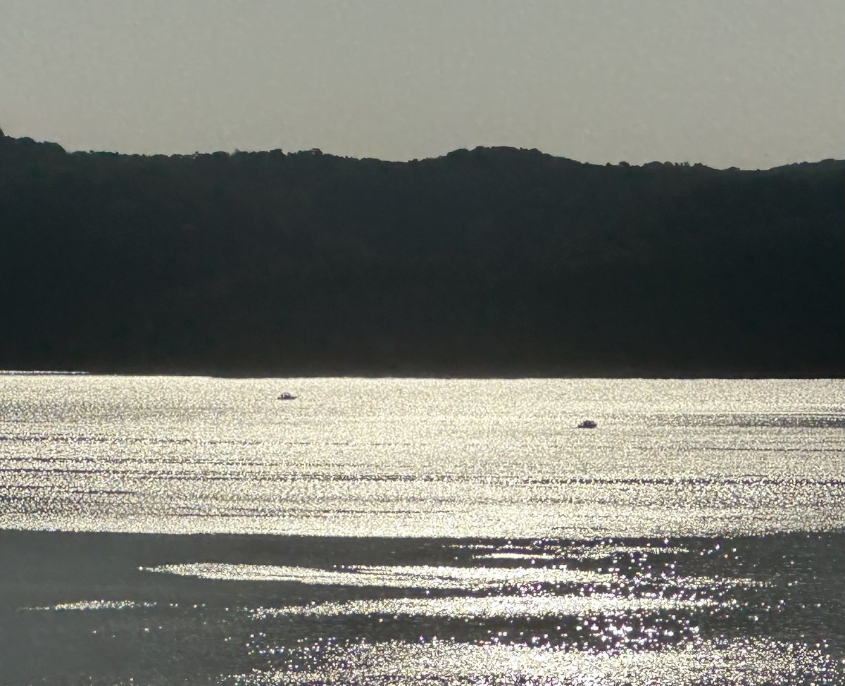 joeyhoover956's tweet image. This picture doesn’t do this moment and scene justice! Patked my truck and enjoyed my coffee and a few moments of beauty and fresh air. 😊

Have a great Friday &amp;amp; weekend, friends! Help someone along the way if you can….#lakecumberland #helpsomeonetoday