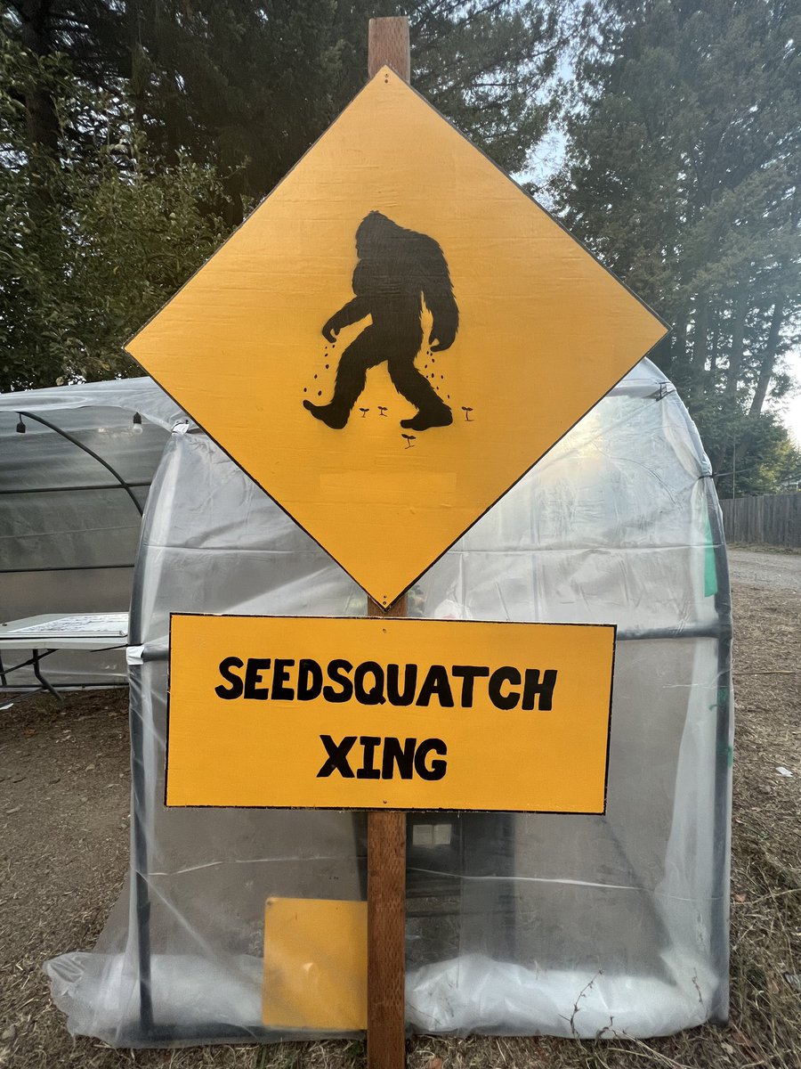 SeedsquatchNFT's tweet photo. Had a blast at the Toke n Joke festival. Seedsquatch NFT holders got in for free and received a herb gift 💚😎 #nft with real world utility and plenty more to come! #nftcollectors #Filmmaking #indiefilm #Film3 #seedsquatch #matic @seed_squatch https://t.co/A9OtSjk4C5