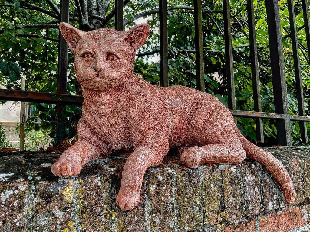 theamazer's tweet photo. Gatti, gatti ovunque 🐈🐈⬛
#cat #art #cats #handmade #terracotta #instacat #artesanato #terracottapots #catlover #artesã #terracottajewellery #gattogram #artes #artem #catoftheday #arteveryday #handmadejewelry #gattorosso #terracottablush #chat #sayitwit… https://t.co/Km35IBn5Qh https://t.co/kfSBUZcvNW