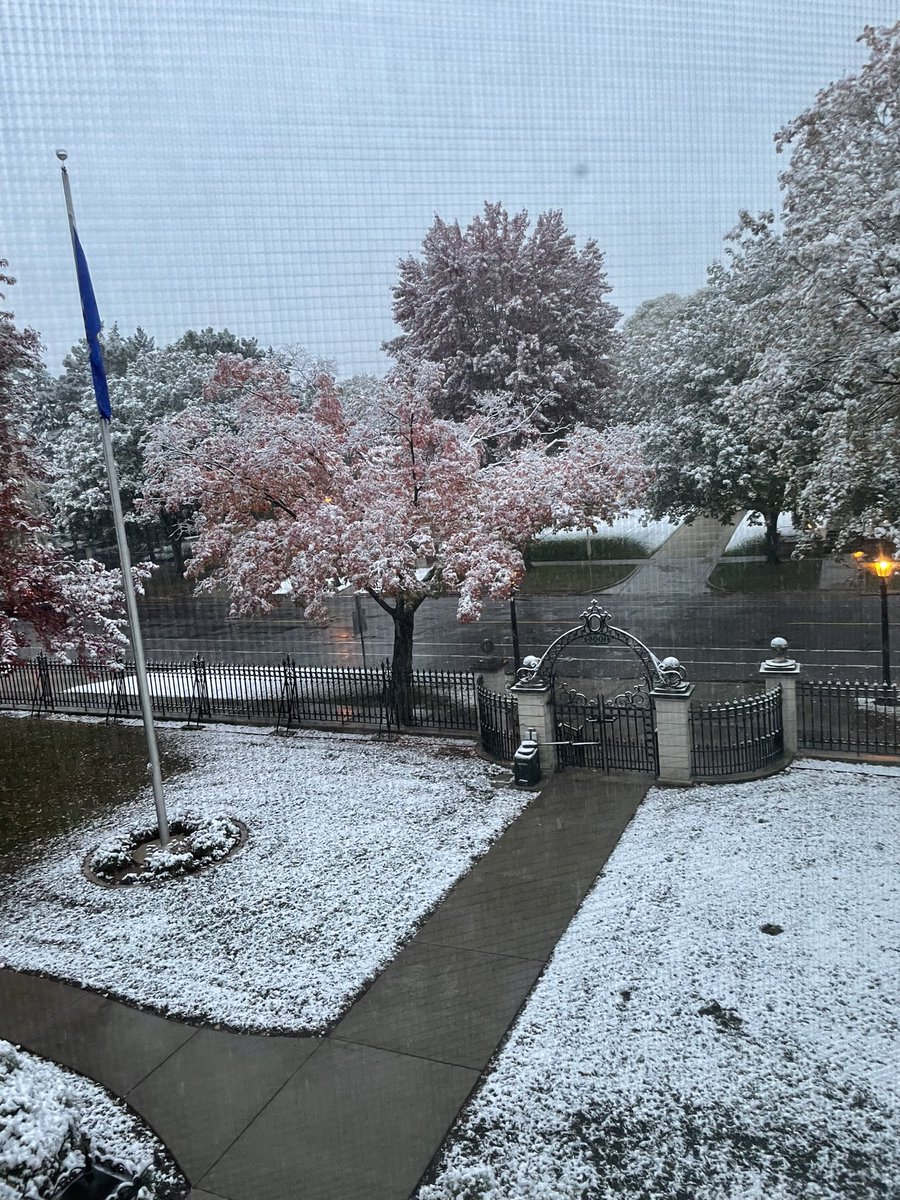 Good morning, Minnesota ❄️
