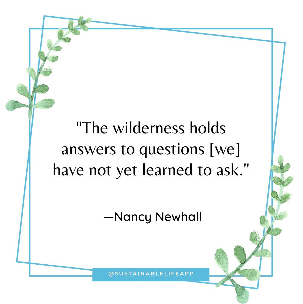 sustainLifeapp's tweet photo. "The wilderness holds answers to questions [we] have not yet learned to ask." 🔮
- Nancy Newhall

#ourplanetourhome #ecoconsumer #sustainableliving #sustainabilitymatters #ecofriendly #slowfashion #renewableenergy #climateaction #circulareconomy #SustainableLifeApp https://t.co/H5ts2eMwBt