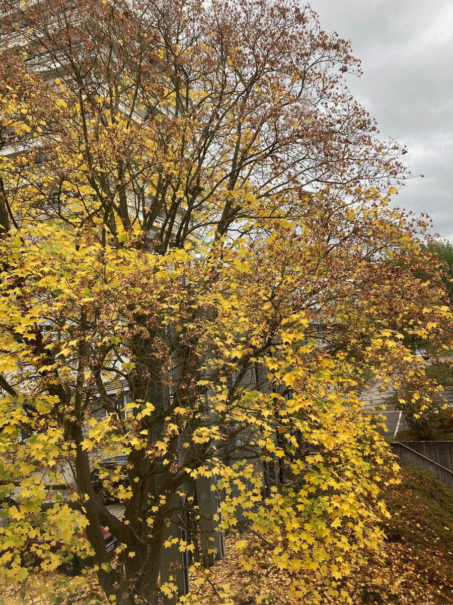 Claus Haslauer @planetwater@mathstodon.xyz tweet media