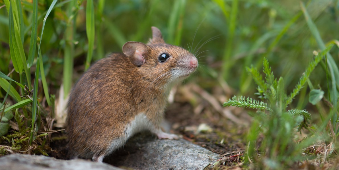 Zone.college tweet media