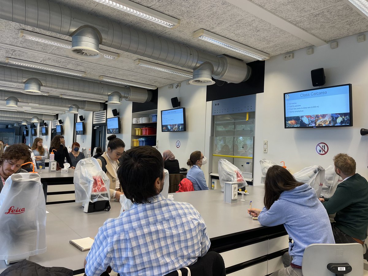 Sponge_2022 tweet media