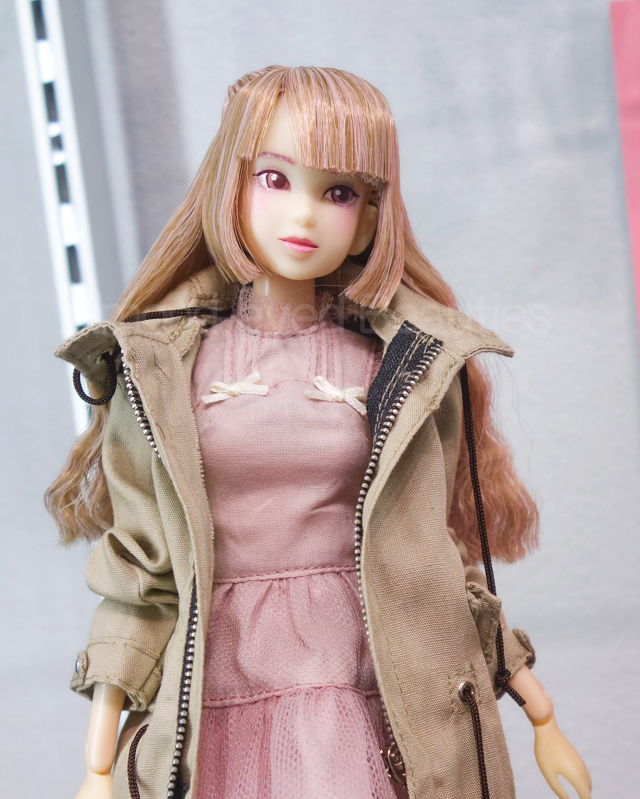 正規通販 CCS 20AN momoko」 momoko 20AN PetWORKs ペットワークス