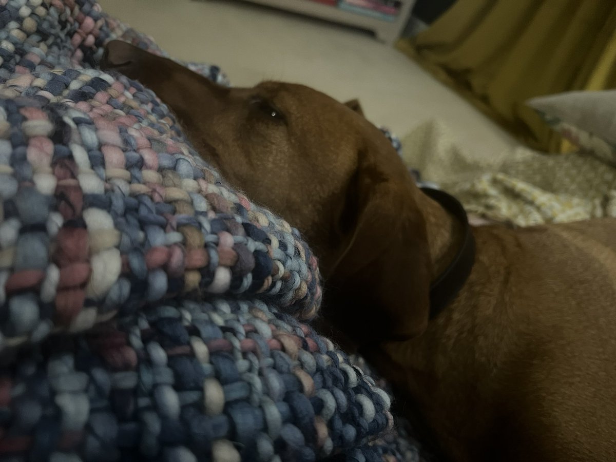 Priority Digital Health tweet media