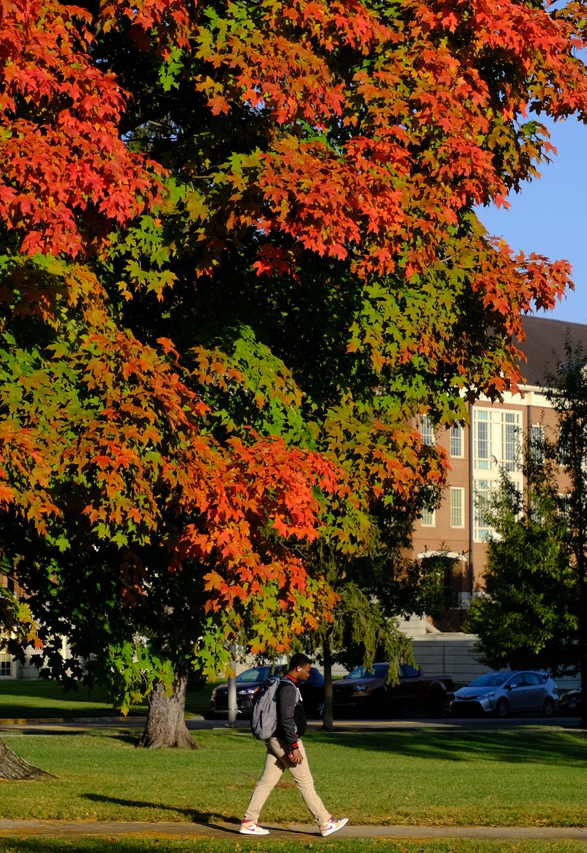 FarmerSchoolMU's tweet photo. #fall #MiamiOH #FallforMiami https://t.co/VTYwa6wNkD