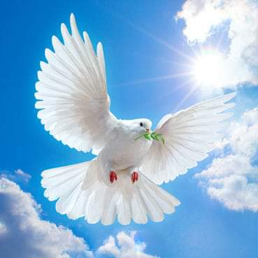 #14Octubre
Buenos días herman@s nicaraguenses y del mundo
#2022PuebloVictorioso a solo 22 días del gran triunfo electoral del pueblo de Sandino "La Paz" sigue siendo la pionera para el desarrollo
Socio-económico de la nación y preservarla es un derecho del "Pueblo Alcalde" VOTA 2