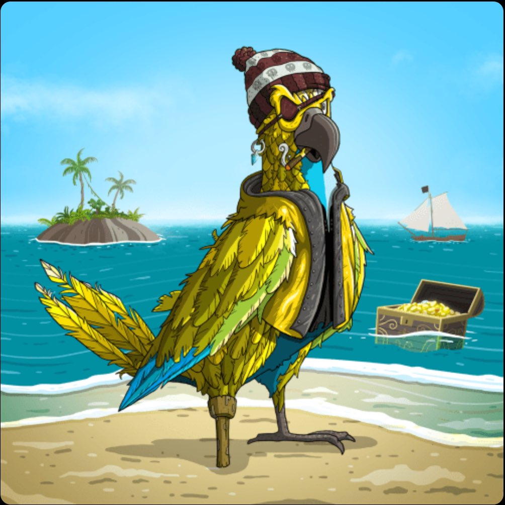 dutchiekiwi tweet media