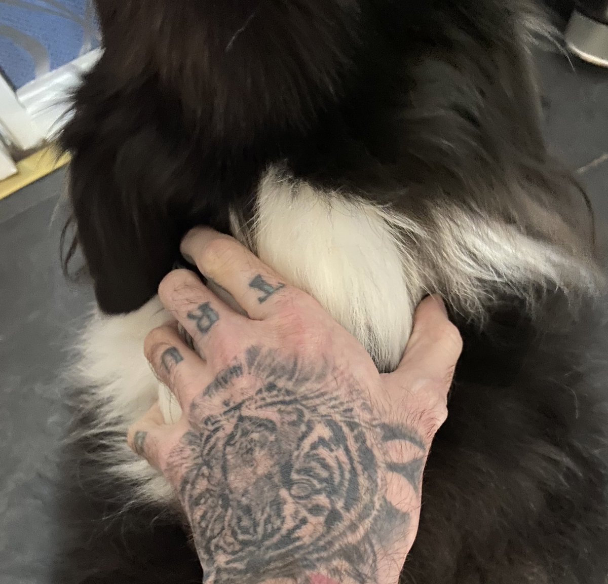 Tatted_Dom's tweet photo. Good girl https://t.co/zkQ6qcyWiM