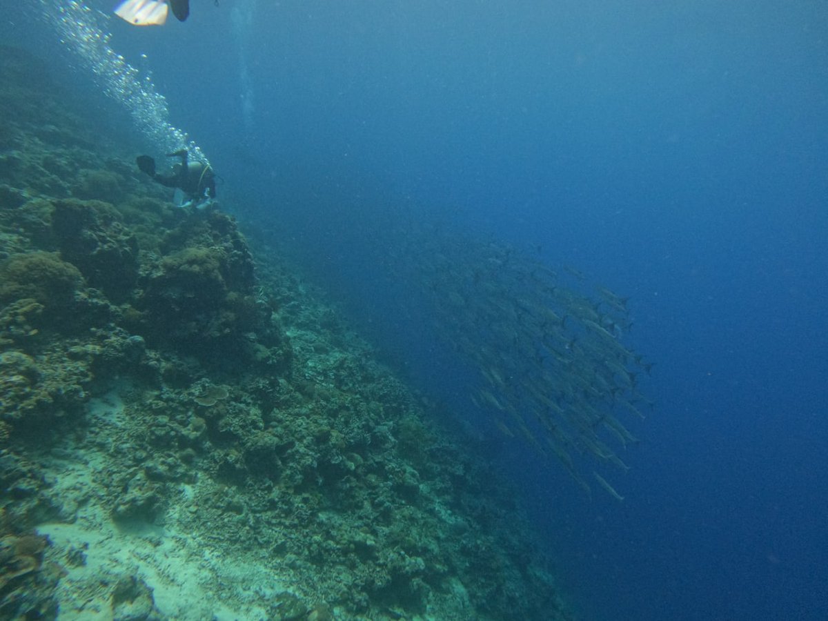 After the baptism of fire, the mud will have a strong physique.