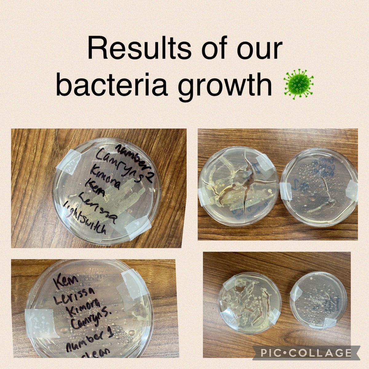 Color_Me_Crazee's tweet photo. Our experiment: The Importance Of Disinfection In The Cosmetology Industry. #BoldlyGoing #NHRECCTE https://t.co/03ElgGVEFm