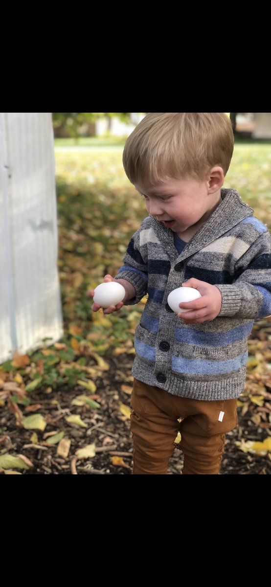 Ruby360 Ltd. tweet media