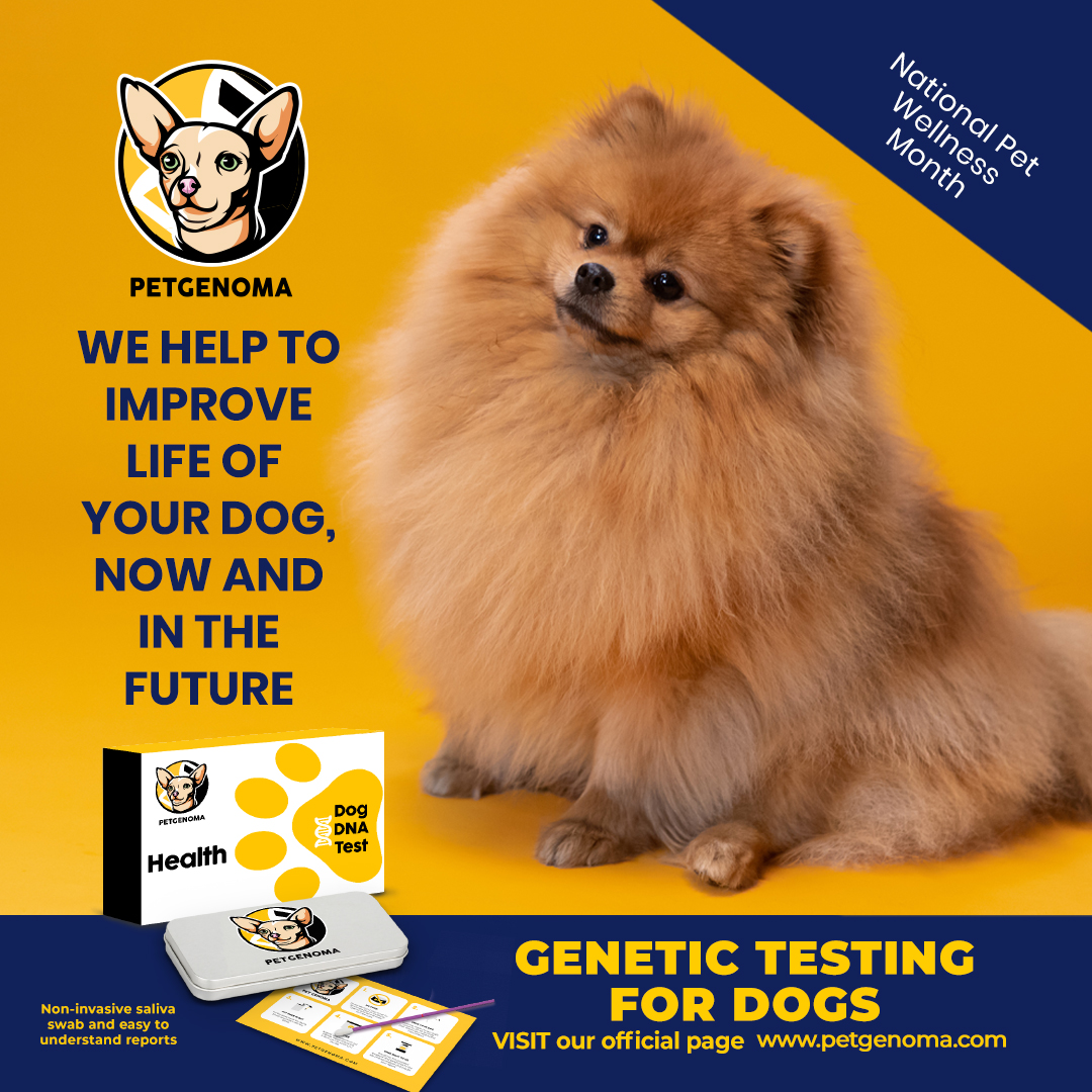 petgenoma's tweet photo. Your dog deserves the best and that's why we help you improve life your dog if you want more information contact us. #PetGenoma #DogLovers #DogGenetics #HealthyDog ๐ถ โค๏ธ ๐จโ๐ฉโ๐งโ๐ฆ https://t.co/HgEjYAaLrv
