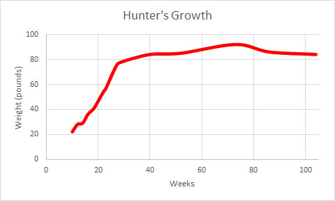 DoubleBeam's tweet image. This handsome man turns 3 today! Happy Birthday #Hunter! He's grown quite a lot in these 3 years, but he'll always be my baby. #Hunter is w/ my folks while I get settled in Miami, but soon we'll be together again, &amp;amp; off for more paleo adventures with the #PaleoLab!
#DinoLab