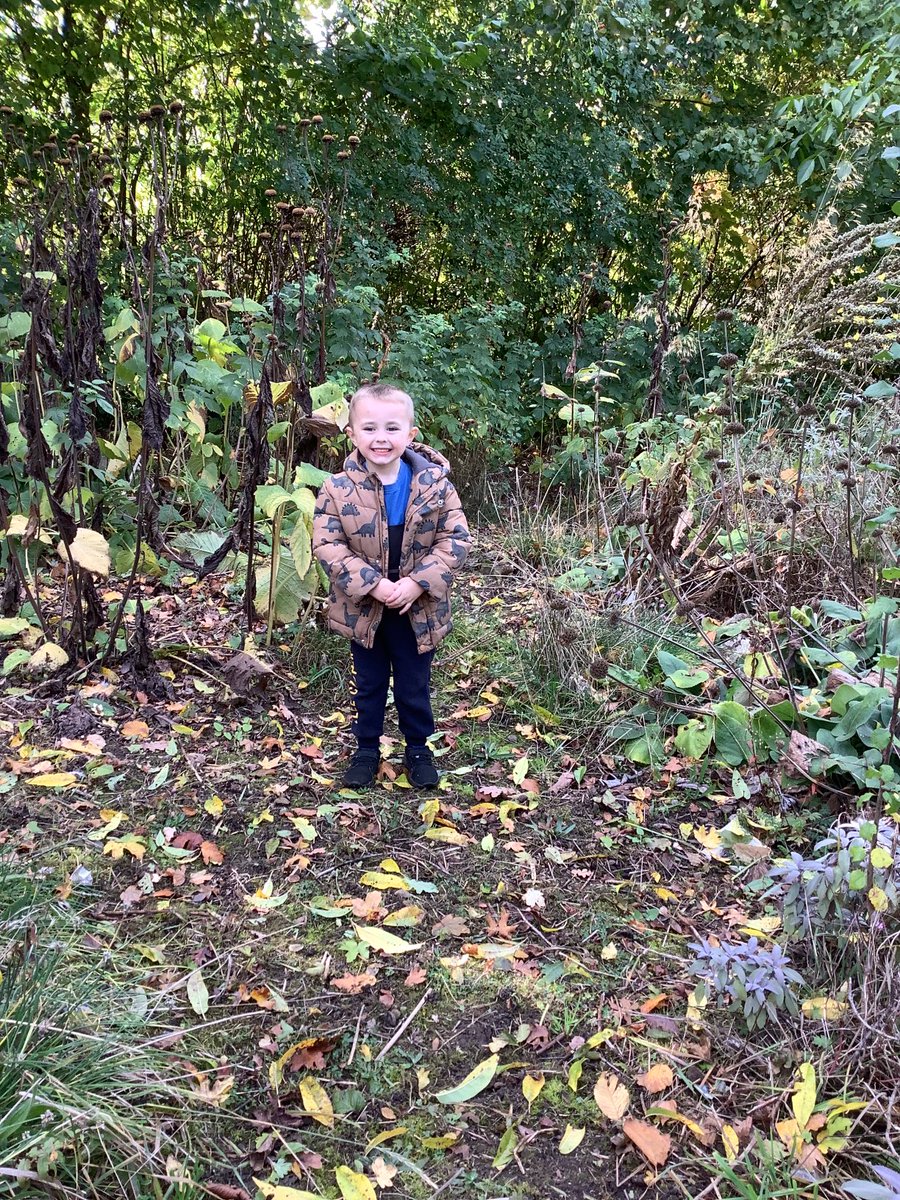 Bumble bees have been exploring the woods and pond area this afternoon. We loved throwing the leaves up and hearing them crunch when we walked on them. #exploringthroughplay #outdoorlearning