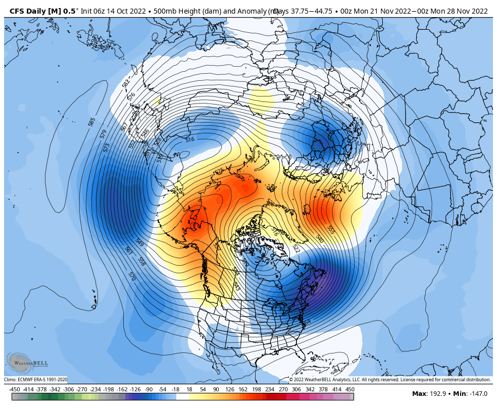 TAMPICO - Long Range Thread 25.0 FfCOQgLX0AEVZqE?format=png&name=medium