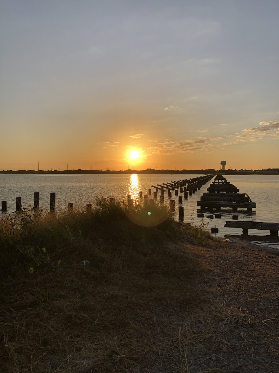 Good morning from #osobaywetlandspreserve   🌞