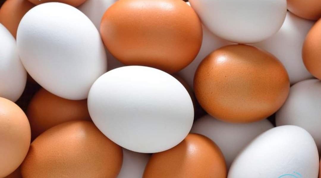 ScreenMix's tweet photo. اليوم هو اليوم العالمي للبيض 🥚 https://t.co/TYFcQpa7PH