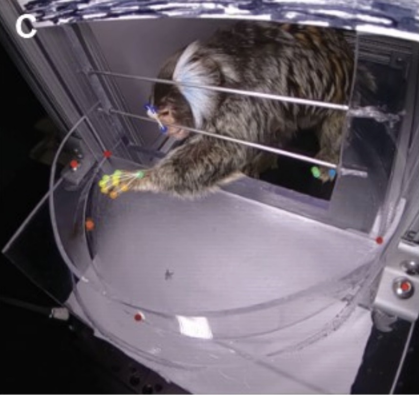 Dan O'Shea tweet media