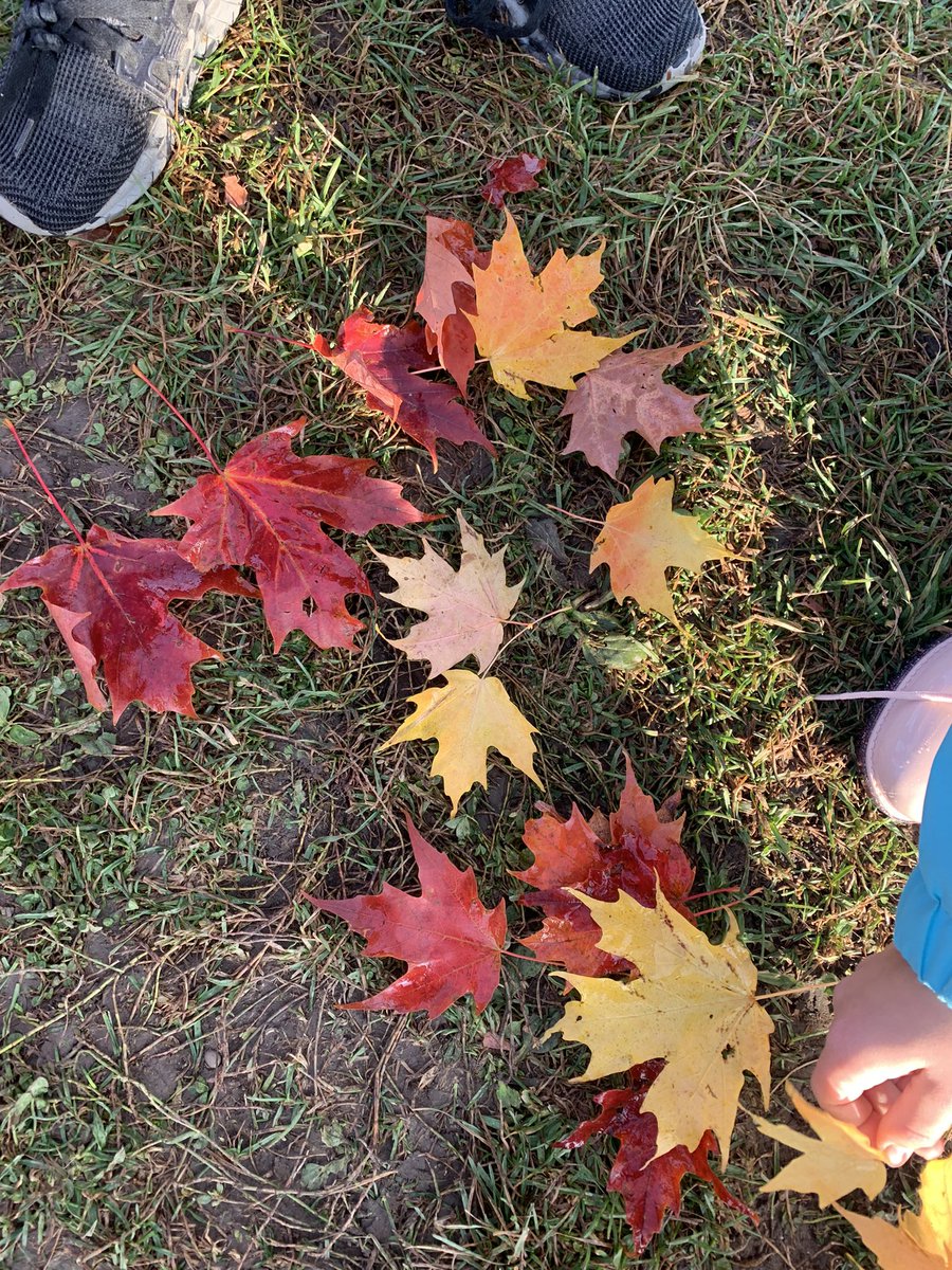 uhler13's tweet photo. @AMETFOenv  > Our warmup - collect 5 red leaves and 5 yellow leaves.  Our game - Shadow Tag.  Freeze when you are tagged.  When someone runs through your shadow, you’re free.  #iAmOutside https://t.co/71JOyPOul7
