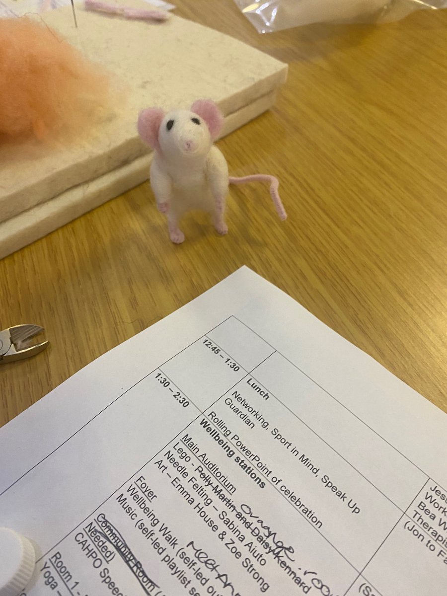 AnnaSandiani's tweet photo. Marvin the mouse!  A little friend who joined us for one of the amazing well-being stations- on offer today at Elevating AHP’s: celebration, leadership and wellbeing.  
(Others included yoga (sport in mind), art, drama, music, lego, sensory profile &amp; walking) 
#elevatingahps https://t.co/N5XJkHg3R3