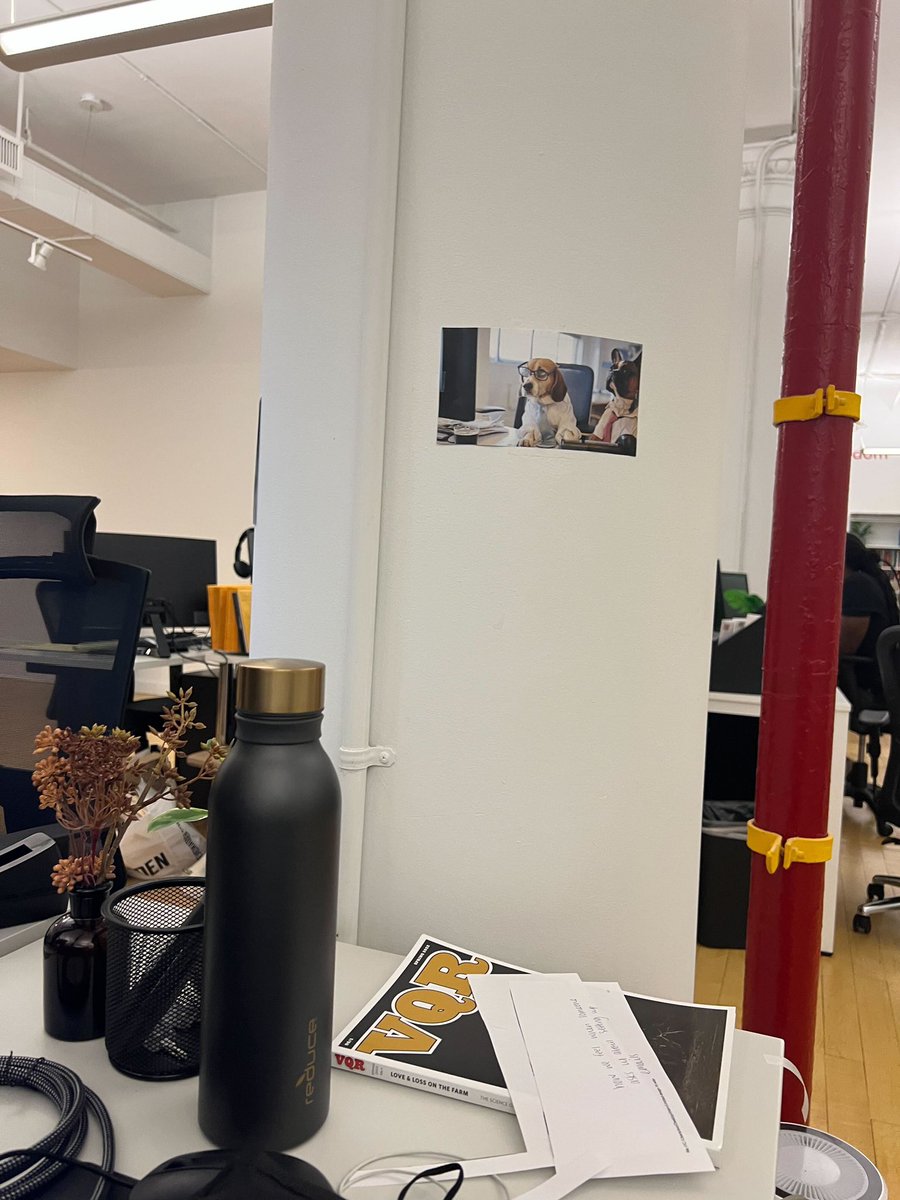 A little PAUsitivity as we head into our first collective bargaining session next week!! Presenting the PAUppies🐶🐶 #UnionsForAll #solidarity