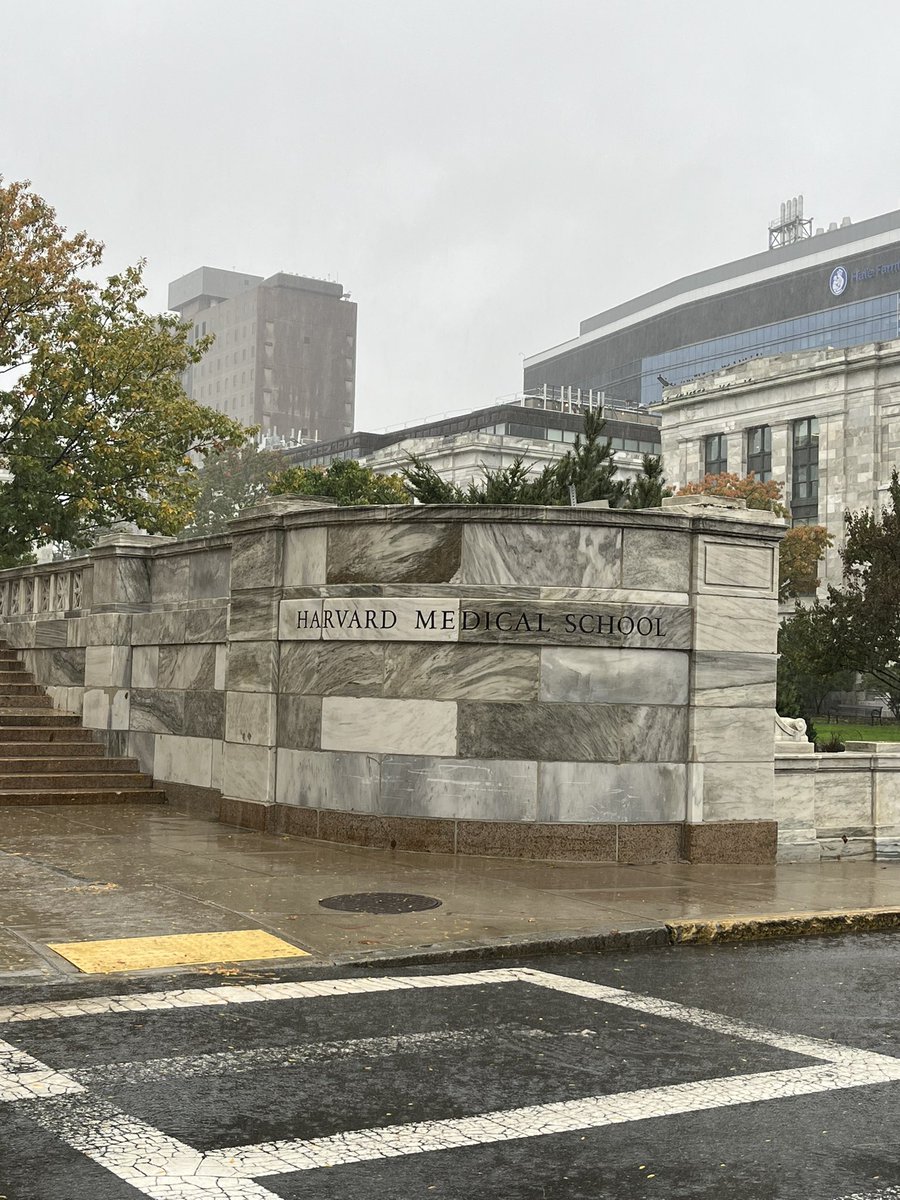 Brandy King, MLIS tweet media