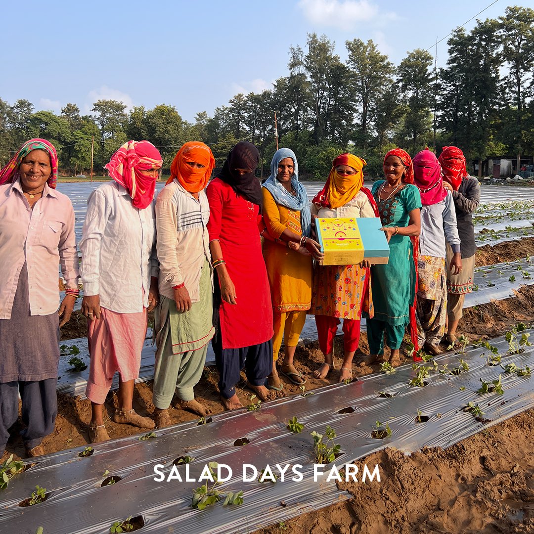 saladdaysco's tweet photo. Heap high the farmer’s wintry hoard
Heap high the warm sweet smell of Strawberry 🍓
#strawberryfieldsforever #winterfields #microgreens #saladdaysco https://t.co/kYXUxNOhrK