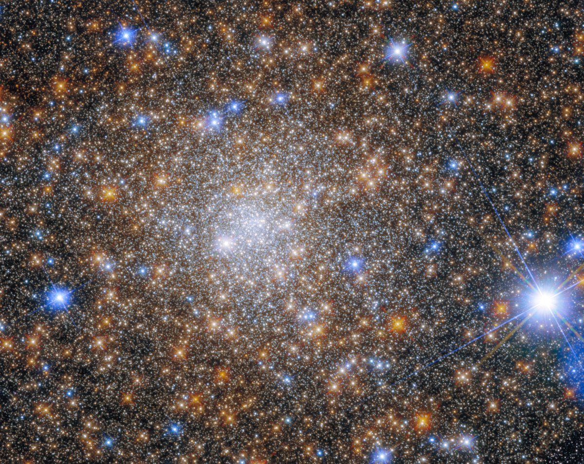 NASAHubble's tweet photo. What’s more beautiful than a star? A whole cluster of them!

This #HubbleFriday image shows Terzan 1, a globular cluster about 22,000 light-years away.

Globular clusters are roughly spherical groups of stars bound together by gravity: https://t.co/C1WmRoF1TD https://t.co/fmkwjXwPcG