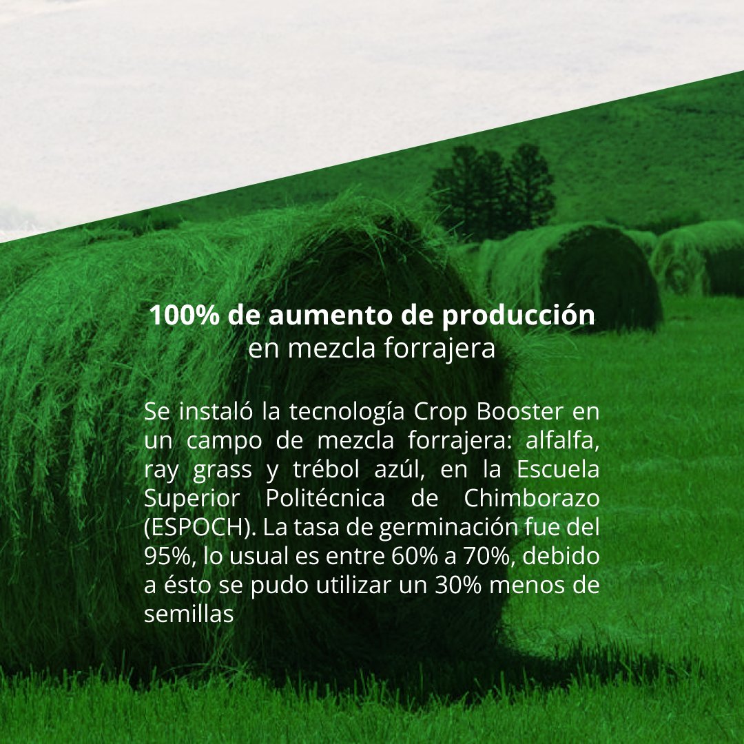 organikolatam's tweet photo. Se obtuvo 0.75 lts más de producción de leche por vaca al día. La condición corporal del animal mejoró, así como la piel, reflejando un animal más sano.

Para mayor información ¡Visítanos!
https://t.co/meGbnQ1Ss4

#organico #cropbooster #ESPOCH #mezclaforrajera https://t.co/HDYwmbotR6