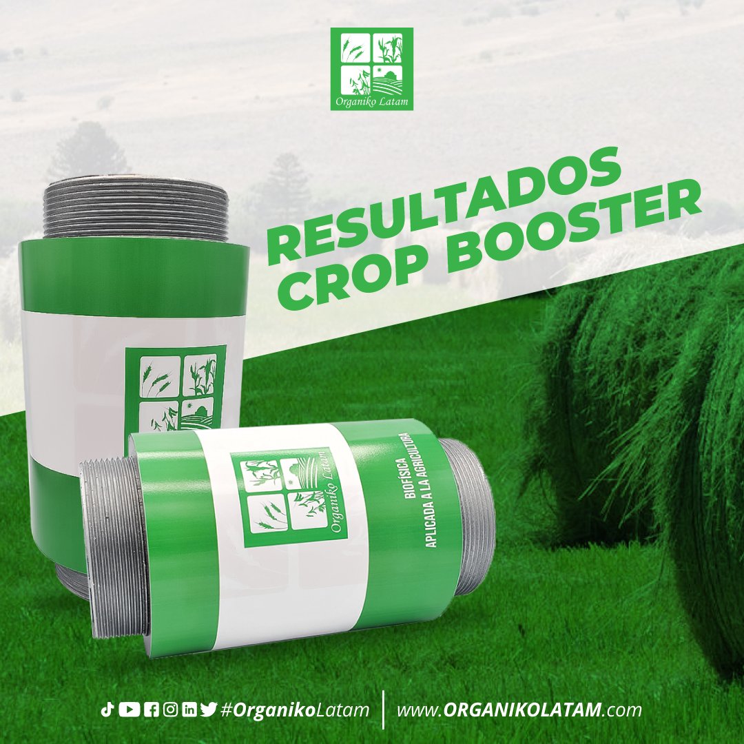 organikolatam's tweet photo. Se obtuvo 0.75 lts más de producción de leche por vaca al día. La condición corporal del animal mejoró, así como la piel, reflejando un animal más sano.

Para mayor información ¡Visítanos!
https://t.co/meGbnQ1Ss4

#organico #cropbooster #ESPOCH #mezclaforrajera https://t.co/HDYwmbotR6