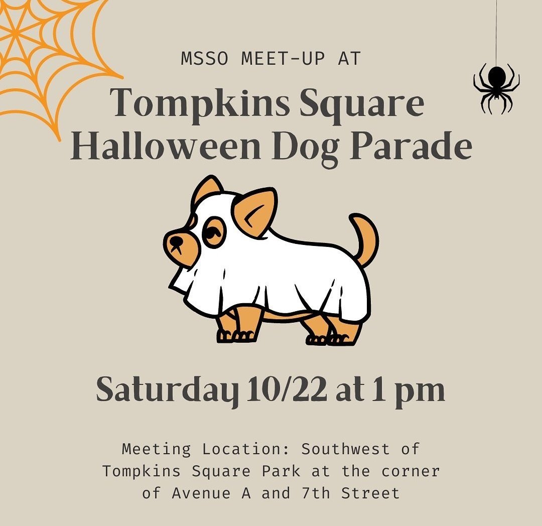 MSSO_NYU's tweet photo. MSSO Meet-up at the Tompkins Square Halloween Dog Parade! 🐕 the parade is Saturday 10/22 at 1 pm and the meeting point is Tompkins Sq Park at Ave A and 7th Street 👻 https://t.co/Ci00QIMqOP