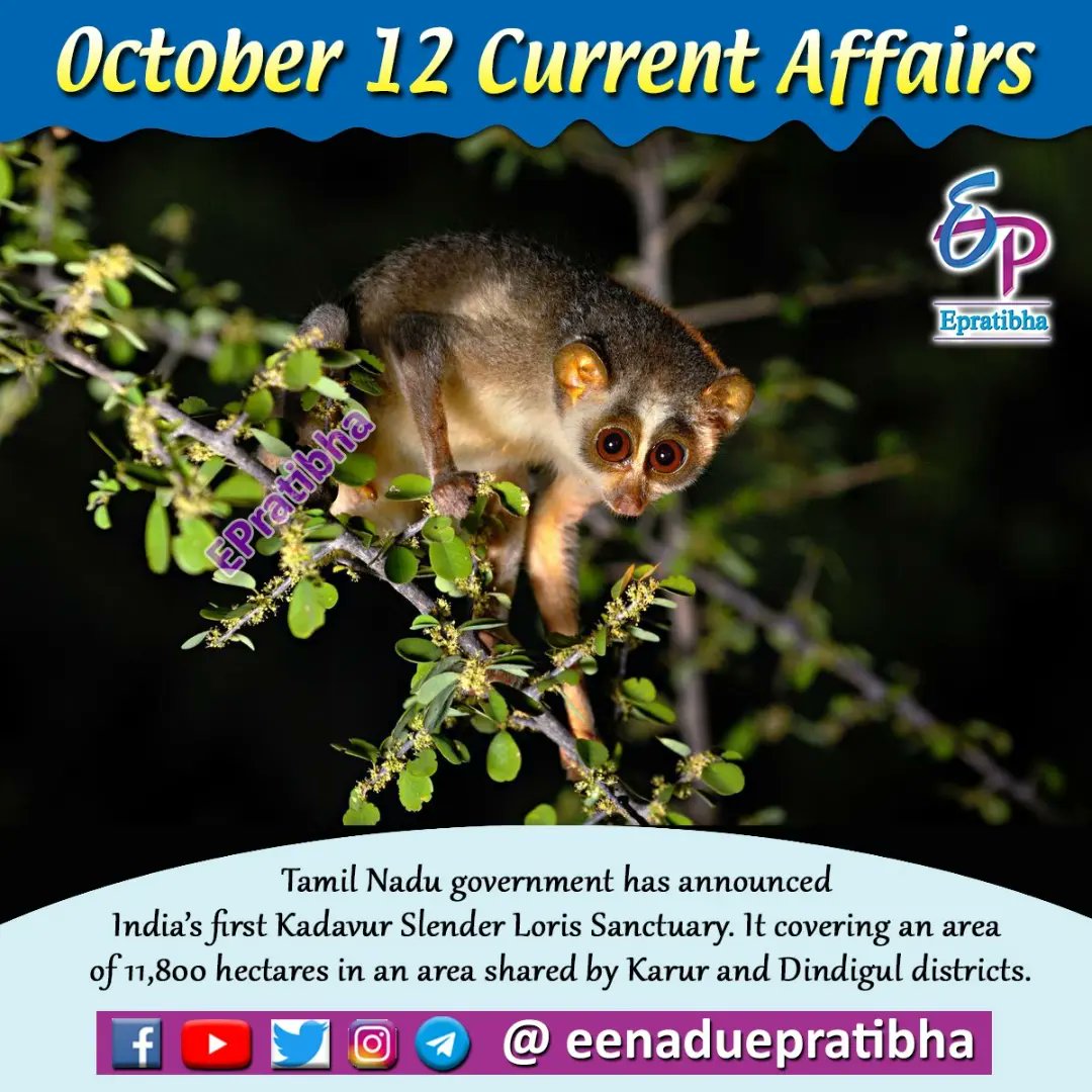 eenaduepratibha's tweet photo. October 12 Current Affairs
#CurrentAffairs
#WADA
#NADA
#NDTL
#AnuragSinghThakur
#WorldArthritisDay
#ARI
#KadavurSlenderLorisSanctuary
#SlenderLoris
#SBI
#DineshKumarKhara
#Eenadu
#Epratibha
#Eenaduepratibha https://t.co/mwA89XY9Yl