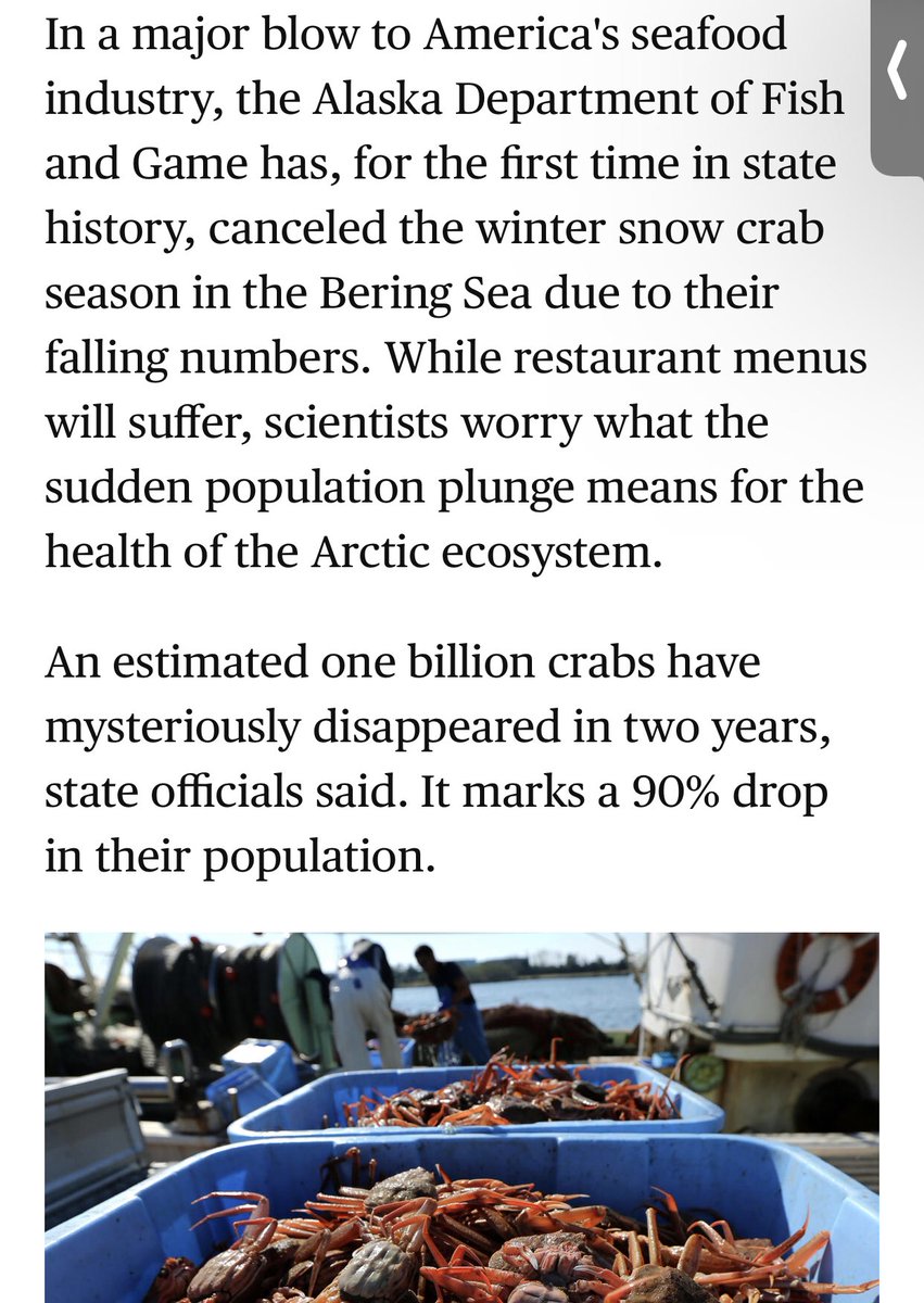 One BILLION crabs have “disappeared”
