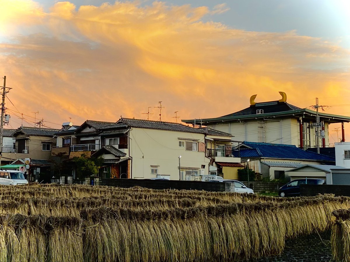 2022.10/13大阪の夕陽　#夕陽 #夕焼け