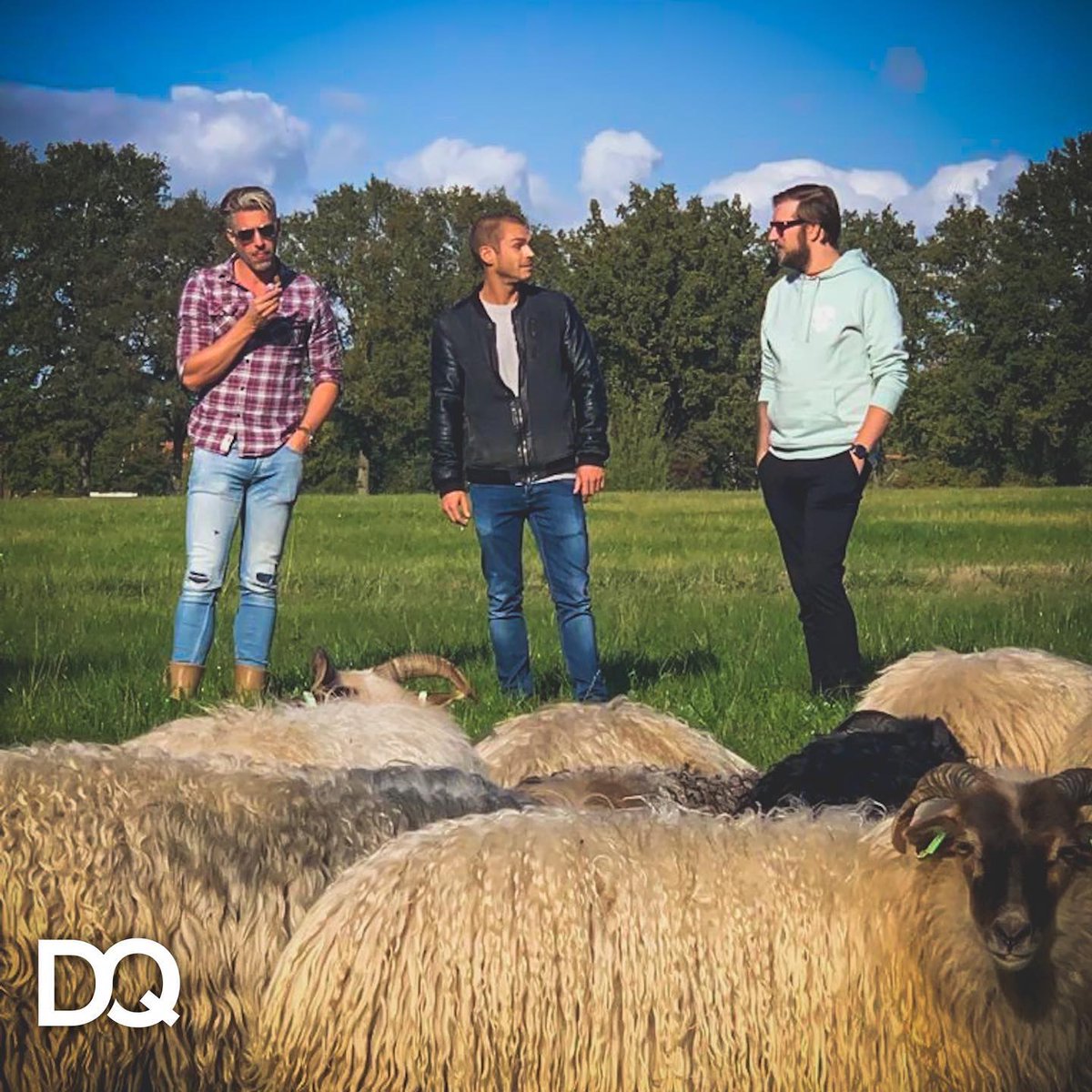 dolphiq's tweet photo. Deze week hebben we een paar dagen met het team genoten van een ‘Workcation’, een mooie combinatie van werk en ontspanning! Een leuke en nuttige tijd waarin aan teambuilding werd gedaan en sommige collega's talent bleken te hebben als schaapherder of boogschutter... https://t.co/wWCpNUtPmK