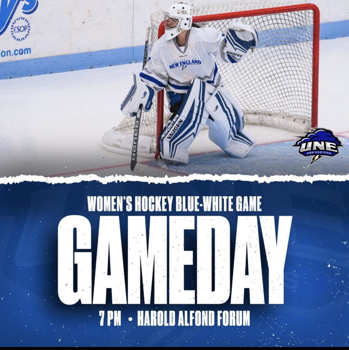 UNE_WHOCKEY's tweet photo. https://t.co/ZKiOM3jto9