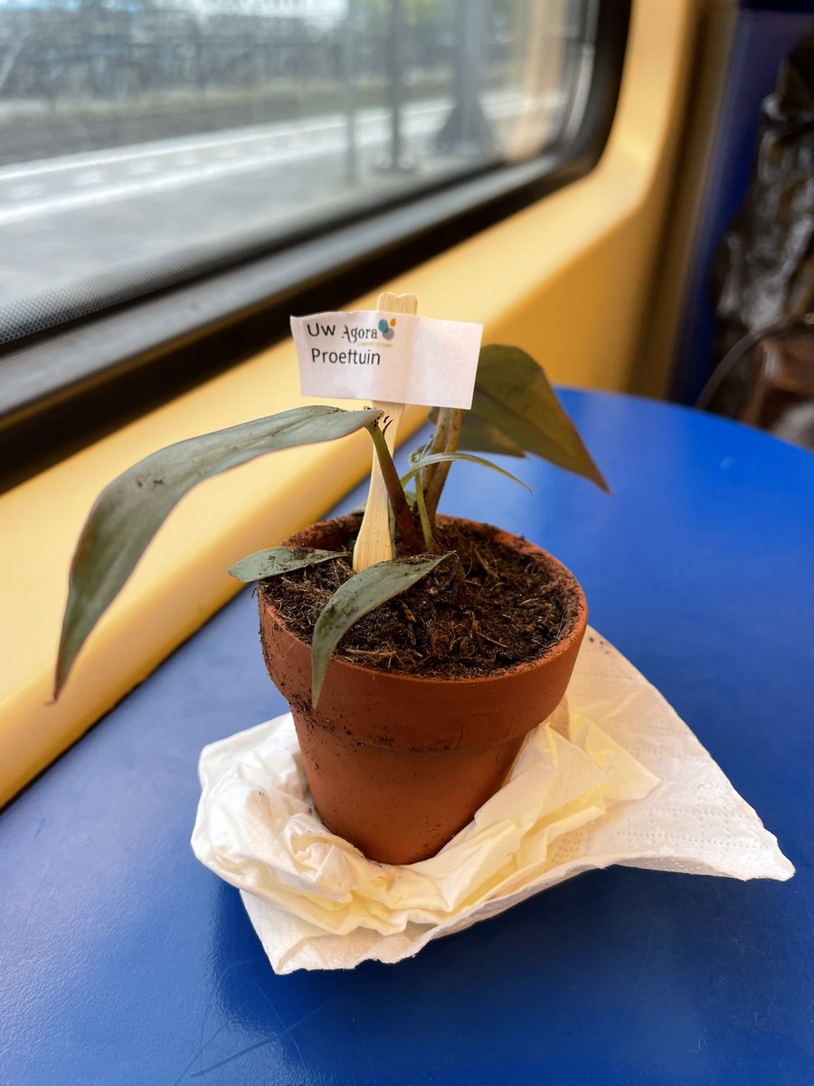 GuduleBoland's tweet photo. En dat was de laatste, die van oktober. Een sessie over begrijpelijke taal in de (palliatieve) zorg. Leuke groep zorgverleners weer! En nu naar huis met de trein met een plantje uit de proeftuin van @Palliatief (Agora). https://t.co/7vTVWvags8