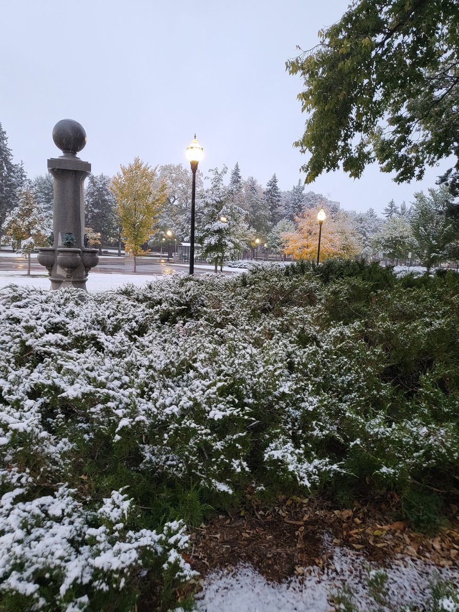 Peggy Nelson (she/her) tweet media