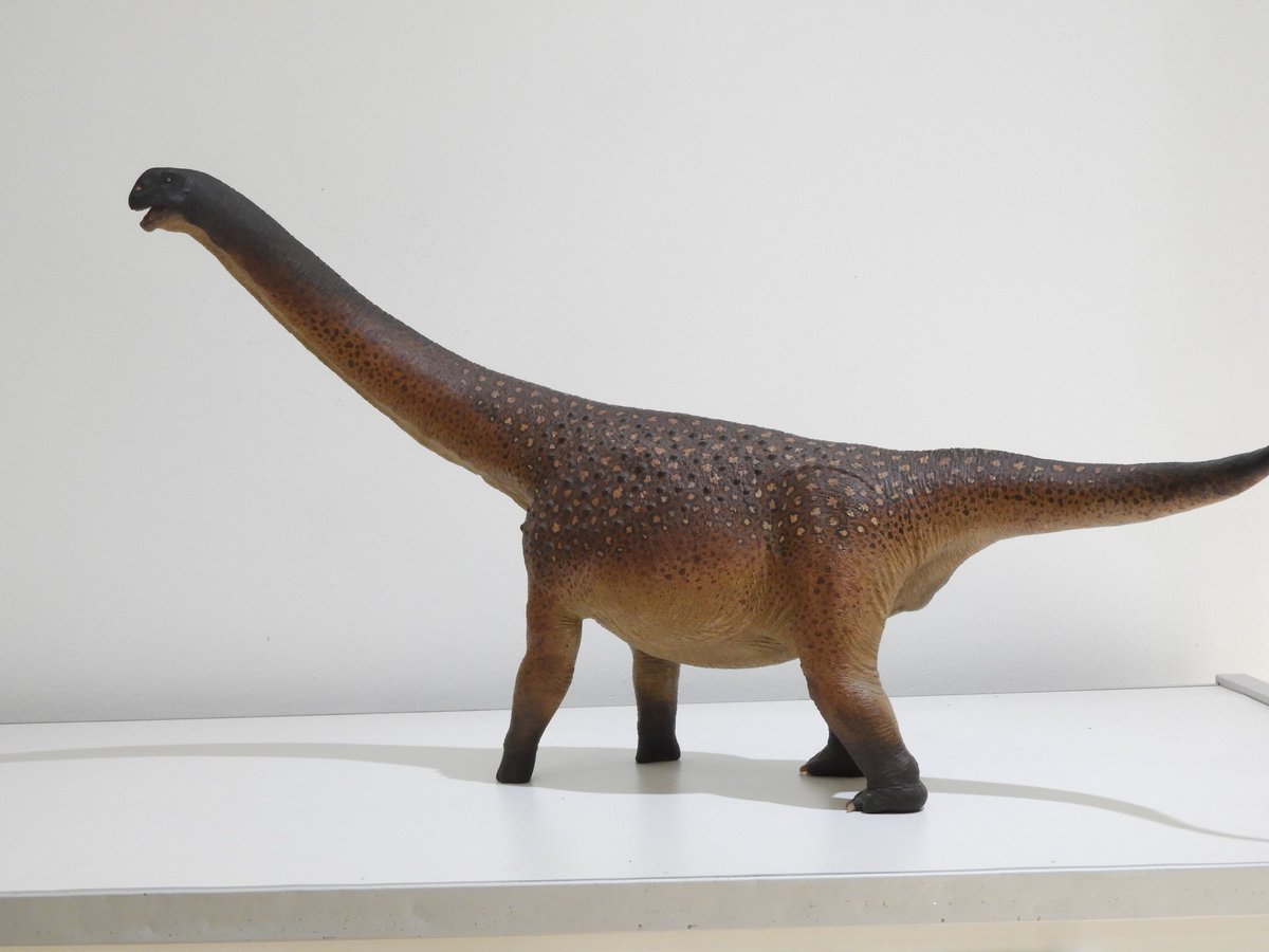 dinoesculturas's tweet photo. #Andesaurus - 1/24 scale sculpture. Epoxy and polymeric clay, flexible air-dry polymeric clay
#paleoarte #paleoart #dinossauro #dinosaurio #dinosaur #handsculpted #handmade #handpainted #cretaceous #cretacico #patagonia #argentina https://t.co/YYYwMIgoyw
