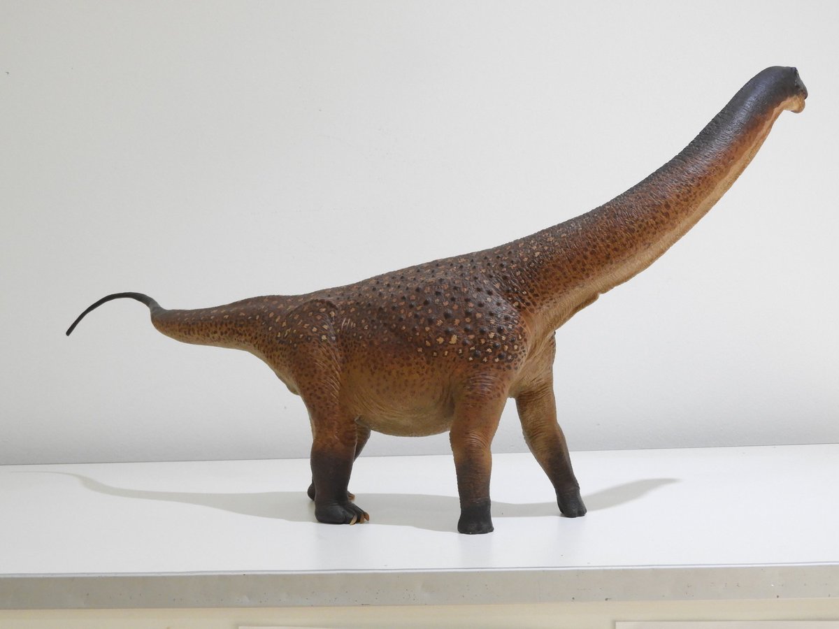 dinoesculturas's tweet photo. #Andesaurus - 1/24 scale sculpture. Epoxy and polymeric clay, flexible air-dry polymeric clay
#paleoarte #paleoart #dinossauro #dinosaurio #dinosaur #handsculpted #handmade #handpainted #cretaceous #cretacico #patagonia #argentina https://t.co/YYYwMIgoyw