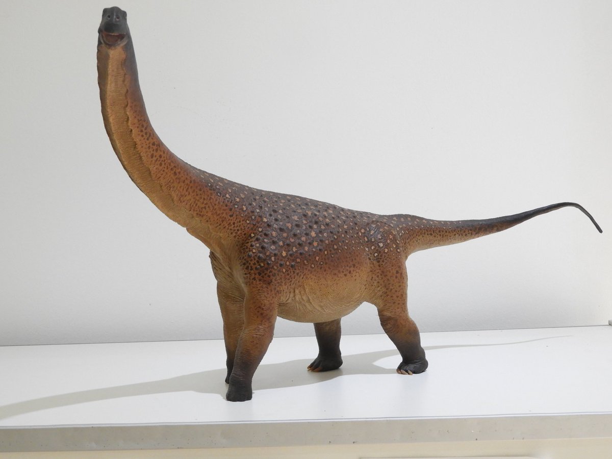 dinoesculturas's tweet photo. #Andesaurus - 1/24 scale sculpture. Epoxy and polymeric clay, flexible air-dry polymeric clay
#paleoarte #paleoart #dinossauro #dinosaurio #dinosaur #handsculpted #handmade #handpainted #cretaceous #cretacico #patagonia #argentina https://t.co/YYYwMIgoyw