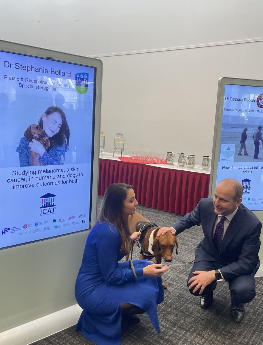 Cool as a breeze handling Apollo and explaining her cutting edge research to an Taoiseach @MichealMartinTD today at the launch of ICAT2 @ICATProgramme .. @steph_bollard an outstanding ambassador of the programme 👏🏻👏🏻… Apollo not too bad either #icat2